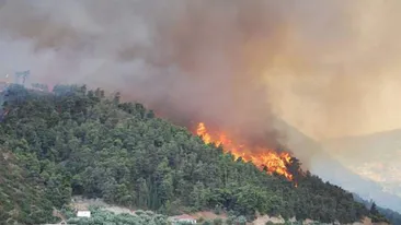 Un incendiu puternic a cuprins Muntele Rosu! Peste 150 de pompieri si silvicultori se lupta cu flacarile!