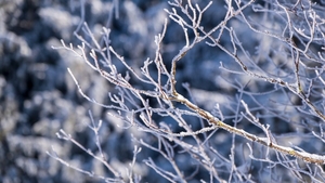 Prognoza meteo azi, 19 ianuarie 2026. Vreme geroasă în toată România, cu temperaturi negative persistente