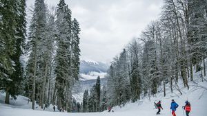 Reacția fabuloasă a unui turist din Japonia, după ce a văzut prima dată zăpada în România: ”Este senzațională”