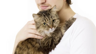 Animalele de companie, salvatorii vietii tale!