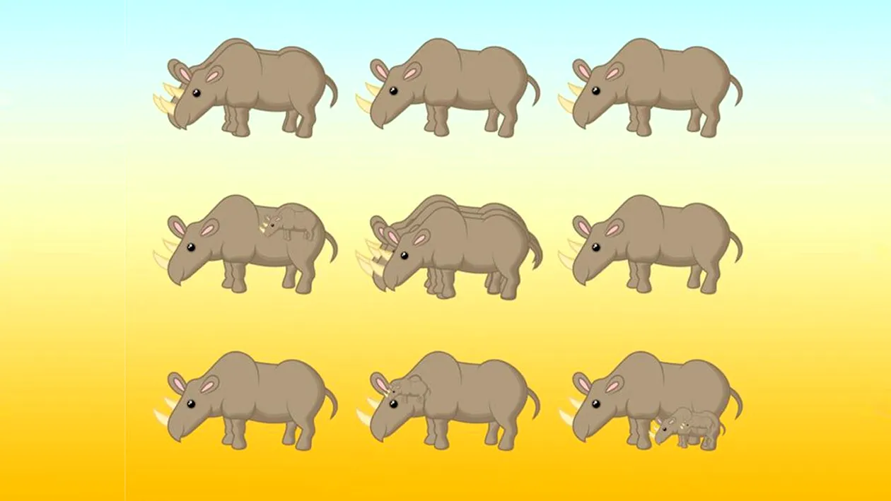 Test IQ | Câți rinoceri sunt, în total, în această imagine? Geniile răspund corect în 7 secunde