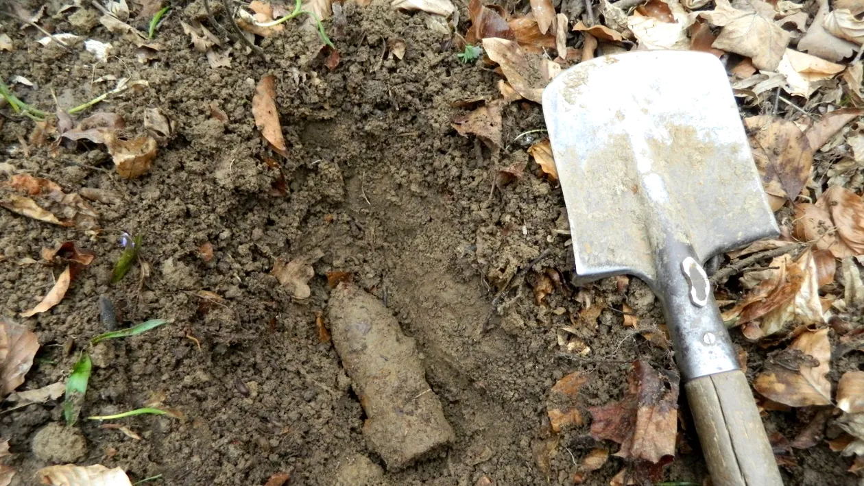 Alertă în Vaslui. Un bărbat a găsit un proiectil neexplodat în timp ce săpa în grădină
