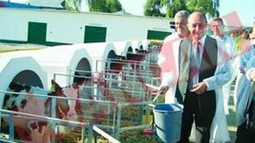 De dusmani te poti apara, de propriul tau frate, nu