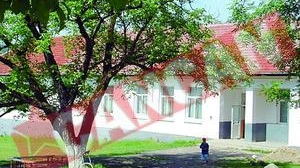 A supravietuit dupa ce s-a prabusit in prapastie
