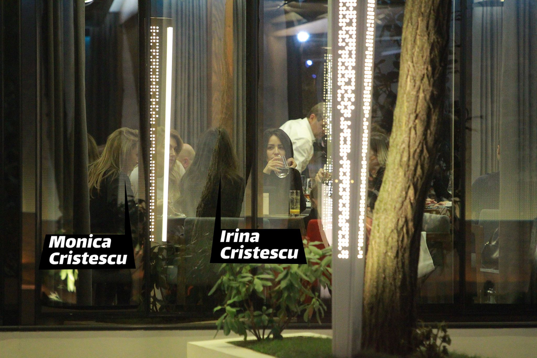 Irina și Monica Cristescu, moștenitoarele OPTICRIS