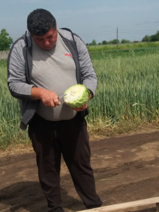 Fermierii din Moțăței sunt mulțumiți de recoltă, dar se tem că prețul va scădea din cauza producției mari