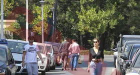 Galerie foto - poza 2