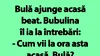 BANC | Bulă ajunge acasă beat. Bubulina îl ia la întrebări