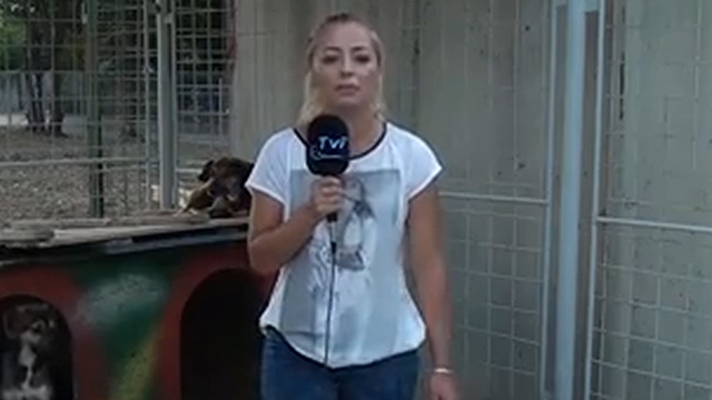 VIDEO Moment penibil pentru o reportera din Romania! Ce a patit in timp ce prezenta o stire: "S-a p***t pe mine! Bai, nene!"