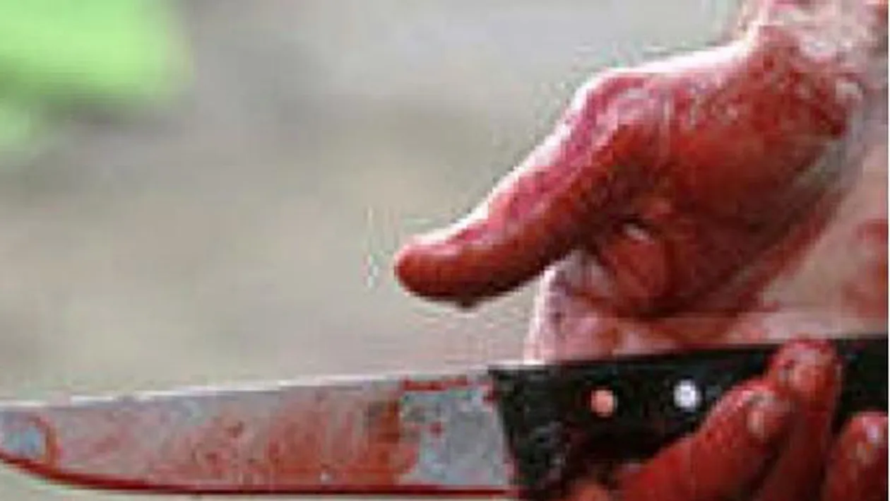 Cunoscut deputat omorat cu sange rece. Fiul acestuia spune ca avea multi dusmani