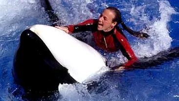 Dresoarea ucisa de balena a fost inmormantata