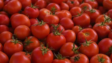 Anomalia întâlnită de cumpărători. Roșiile, mai scumpe decât carnea de miel