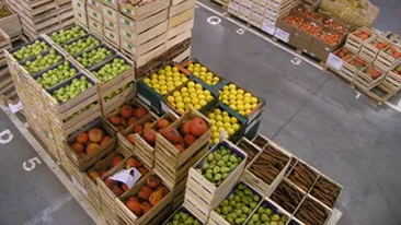 Fructe cu virusul hepatic A importate din Romania, Polonia si Bulgaria, retrase de piata italiana