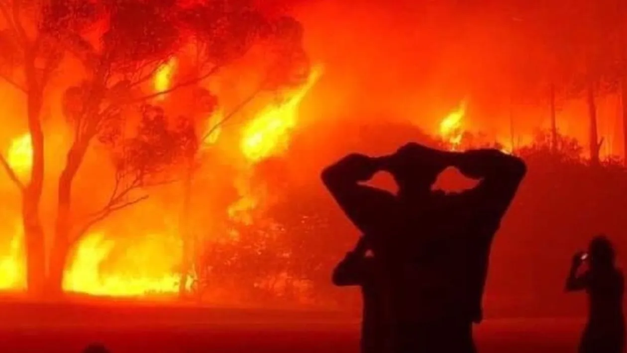 Record al emisiilor de carbon, după incendiile masive din această vară