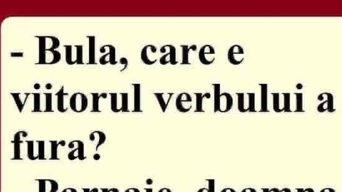 BANC | "Bulă, care e viitorul verbului 'a fura'?"