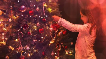 Brad natural sau artificial? Cum alegem bradul pentru Crăciun