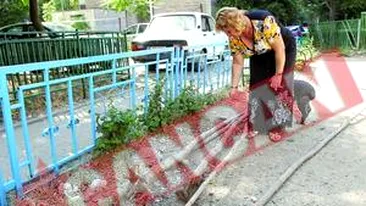 Parculet devastat din cauza indiferentei autoritatilor