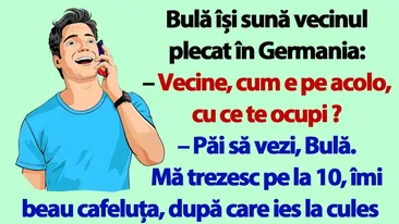 BANC | Bulă își sună vecinul plecat în Germania