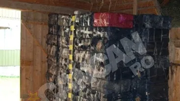 Un sucevean s-a gandit sa-si rotunjeasca pensia