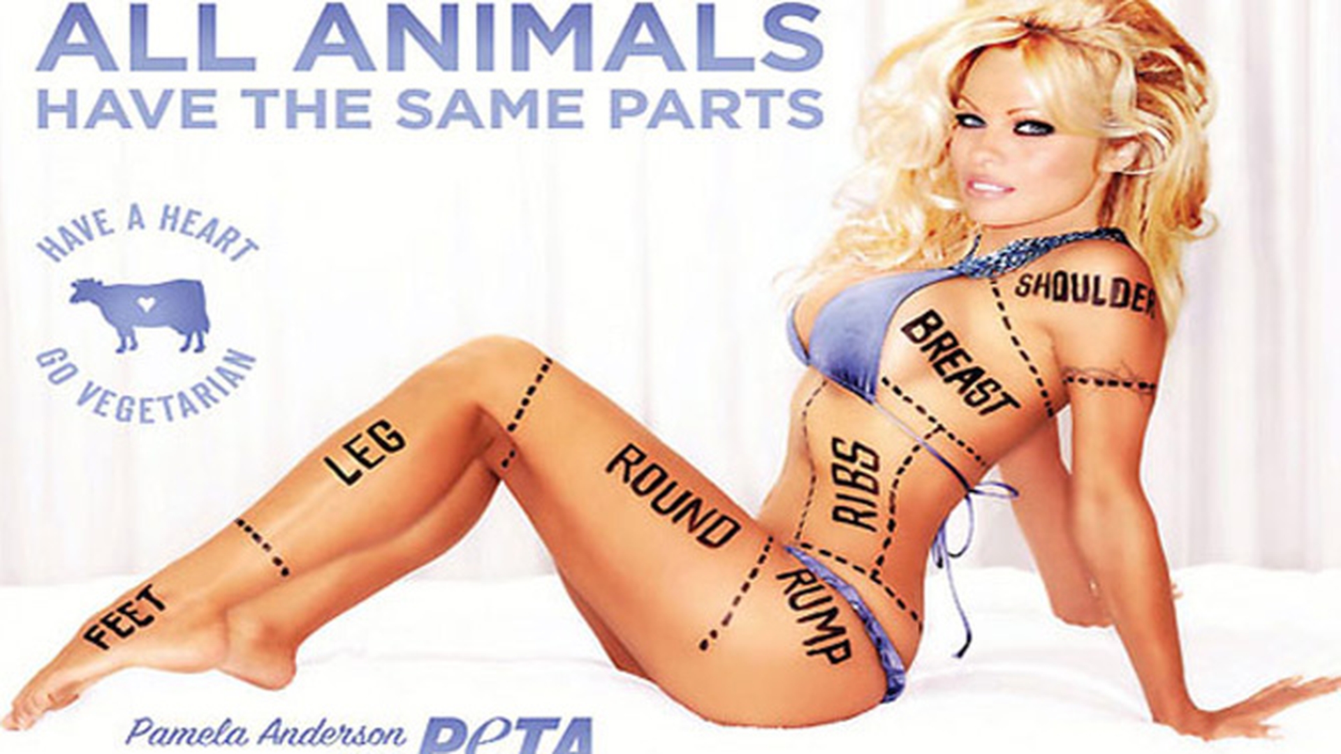 Pamela Anderson, interzisa in Canada