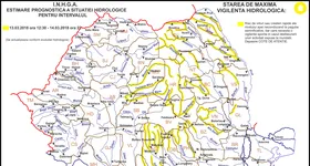 Galerie foto - poza 4