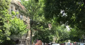 Galerie foto - poza 1