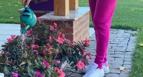 Galerie foto - poza 4