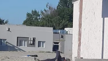 Haos în Vama Veche! Morți de beți, au adormit printre sticle, pe plajă