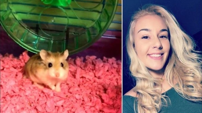 O femeie a fost obligată de o companie aeriană să-şi arunce hamsterul la toaletă, înainte de a se urca în avion!