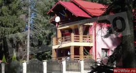 Galerie foto - poza 2