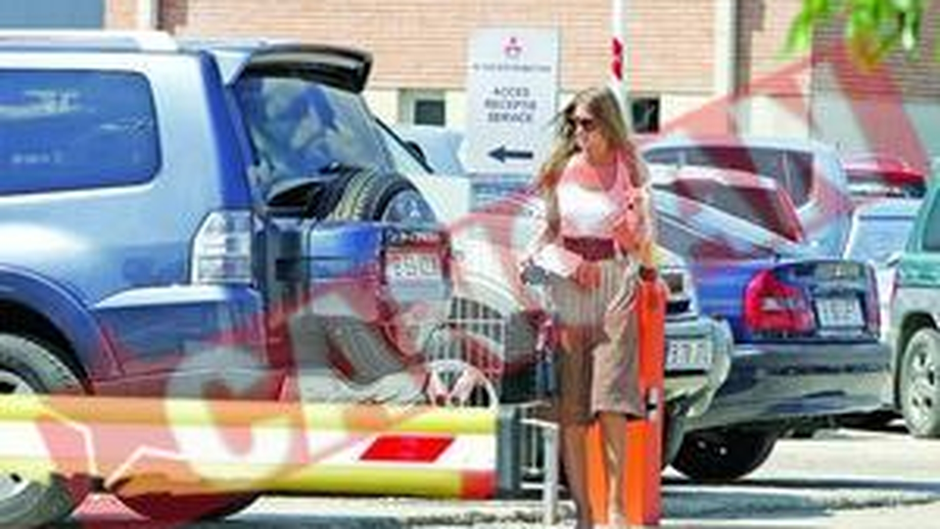 Iulia Albu si-a operat catelul la ochi