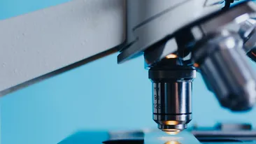 Proiectul enorm de acum zece ani. Când România visa sânge artificial