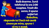 BANC | Bulă doarme. Sună telefonul la ora 2:00 noaptea