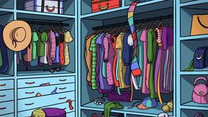 Iluzie optică virală | Găsiți pisica ascuns în șifonier!