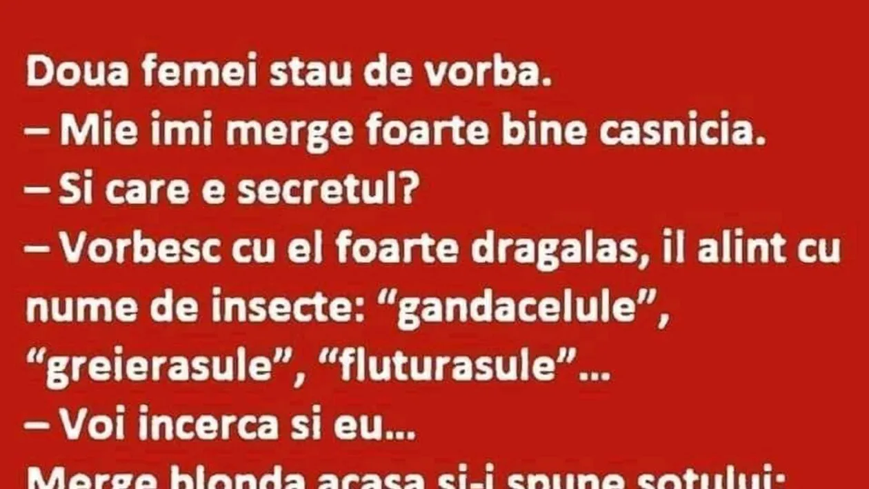 BANCUL ZILEI | Care e secretul unei căsnicii fericite în 2022