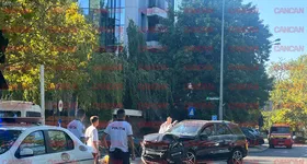 Galerie foto - poza 3