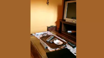 Cea mai dificilă iluzie optică | Descoperă pisica din imagine: se ascunde unde nu te aștepți