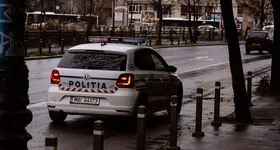 Galerie foto - poza 4