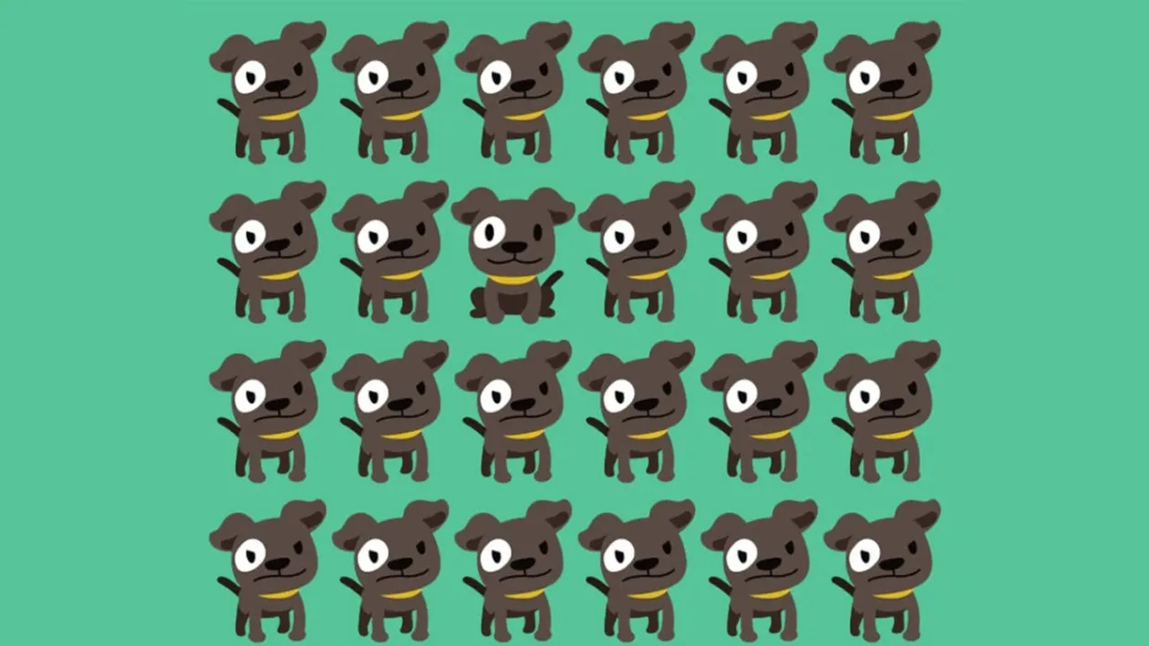 Test de inteligență | Unul dintre acești 24 de căței este diferit de ceilalți. Găsiți impostorul!