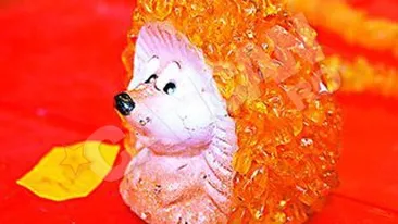 Asa arata ariciul de chihlimbar