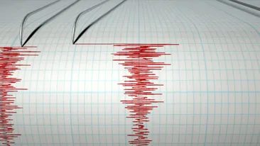 ULTIMA ORA! Cutremur in Romania! Ce magnitudine a avut!