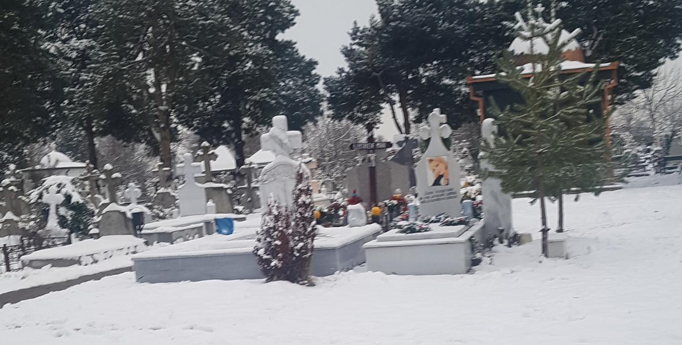 Imagini copleșitoare la mormântul regretatei cântărețe de muzică populară