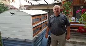 Galerie foto - poza 3