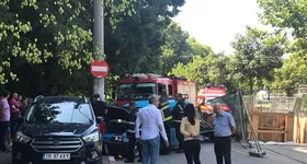 Galerie foto - poza 2