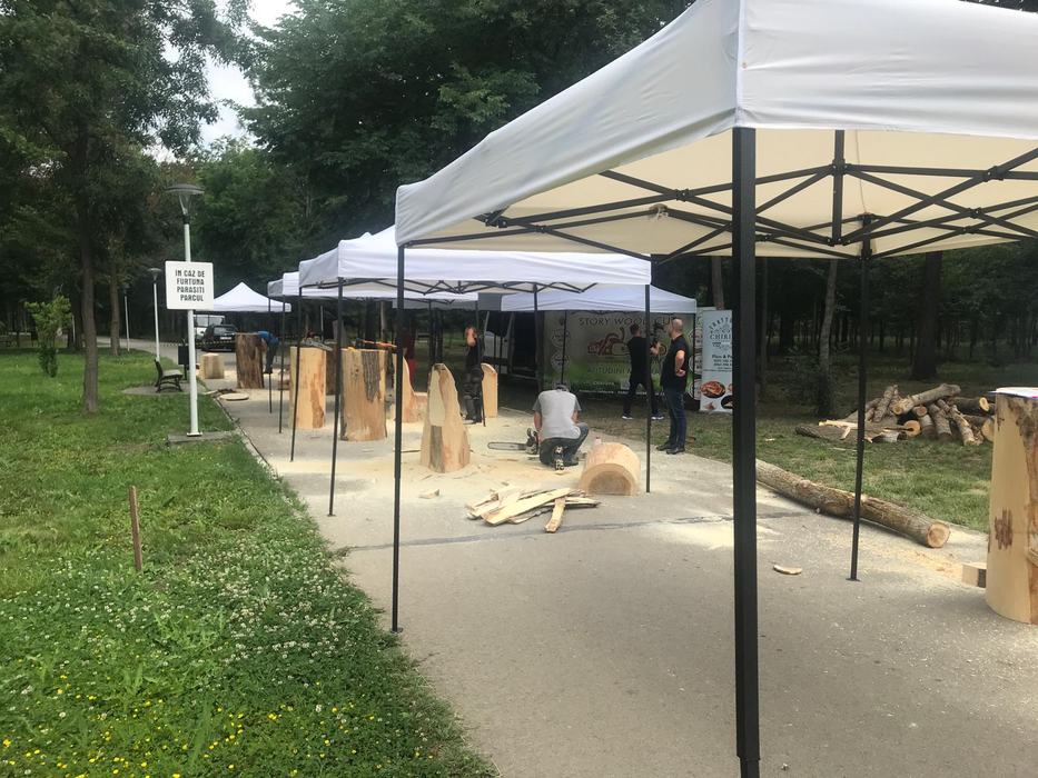 Operele realizate cu drujba în parcul din Craiova prind contur