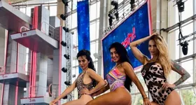 Galerie foto - poza 4