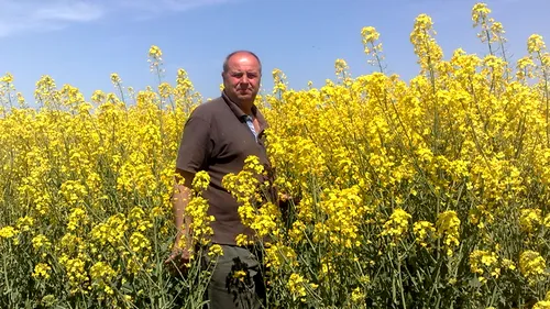 A fost tamplar si zidar si a ajuns milionar! Fabuloasa poveste a Gheorghe Lamureanu, fiul unei croitorese sarace!