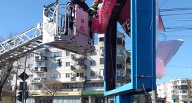 Galerie foto - poza 4